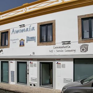 Ammaia Al Ξενοδοχείο Portalegre Exterior photo