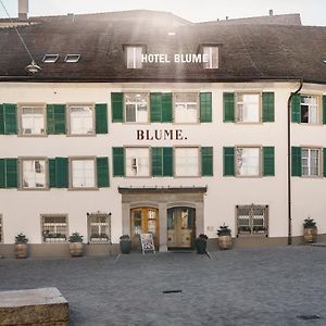 Hotel Blume - Swiss Historic Hotel Μπάντεν Exterior photo