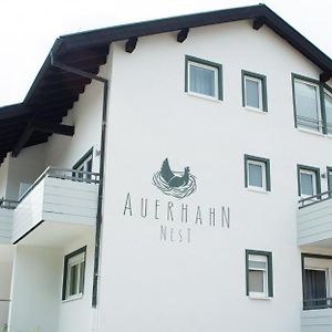 Auerhahn Nest Ξενοδοχείο Bad Wildbad Exterior photo