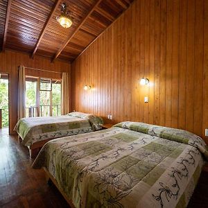 Jaguarundi Lodge Πουνταρένας Room photo