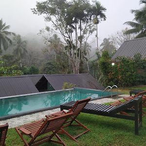 Rainforest Chalets - Rainforest Tours,Pool And Ac Deniyaya Exterior photo