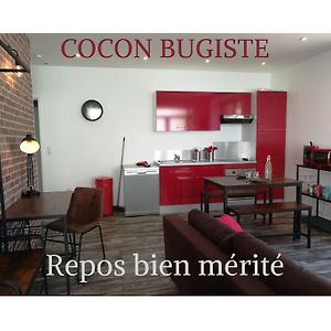 Cocoon Bugiste : Travail, Sport Ou Detente Hauteville-Lompnes Exterior photo