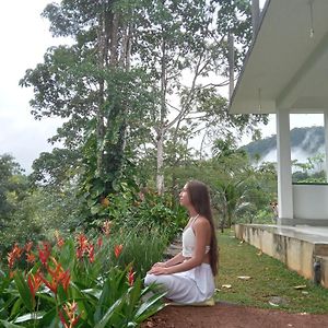 Evergreen Villa - Sinharaja Deniyaya Exterior photo