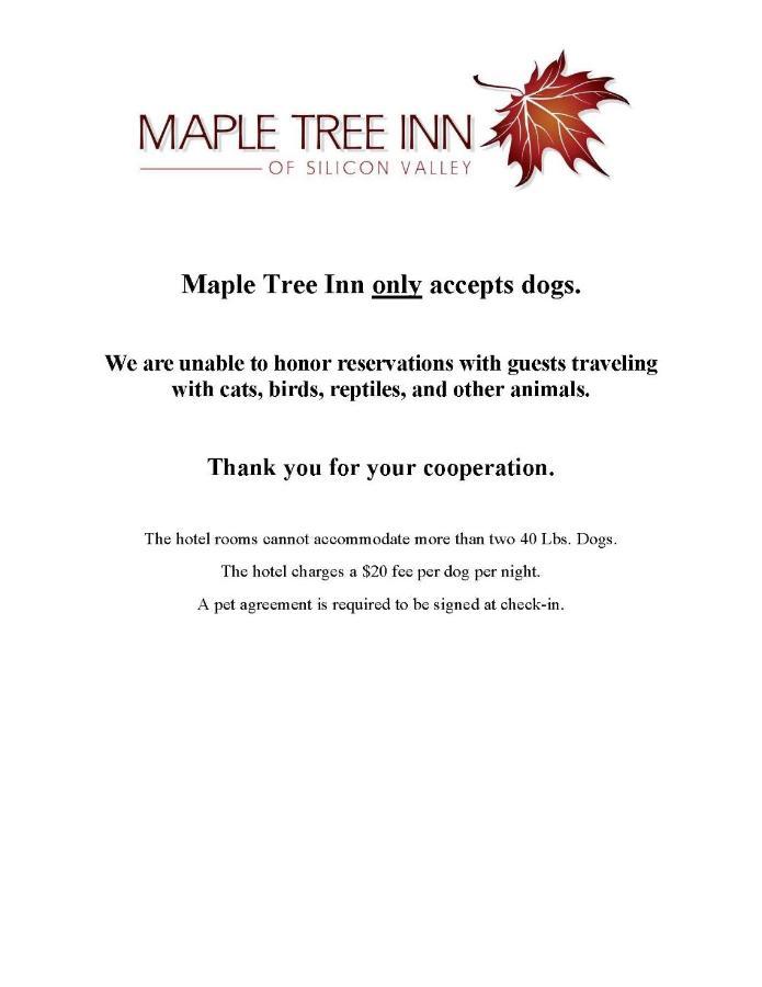 Maple Tree Inn Σανιβέιλ Εξωτερικό φωτογραφία