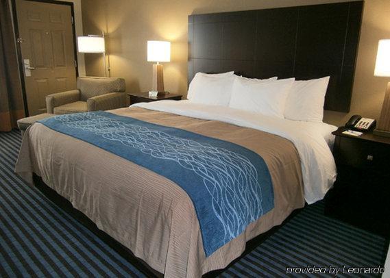 Comfort Inn & Suites Ballpark Area Ατλάντα Δωμάτιο φωτογραφία
