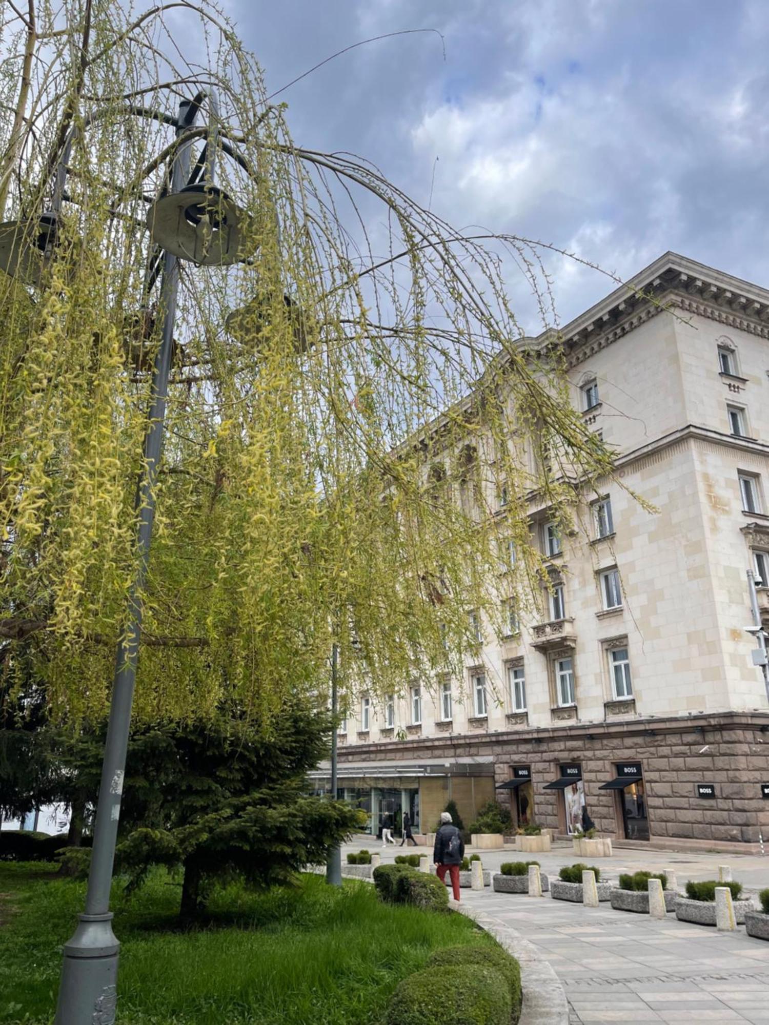 Sofia Balkan Palace Εξωτερικό φωτογραφία