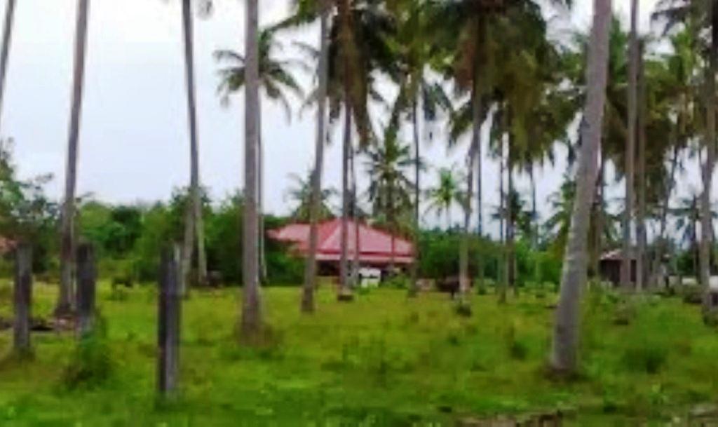 The Village Langkawi Pantai Cenang  Εξωτερικό φωτογραφία
