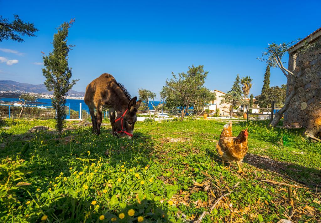 Panorama Villas - Adults Only Άγιος Νικόλαος Εξωτερικό φωτογραφία
