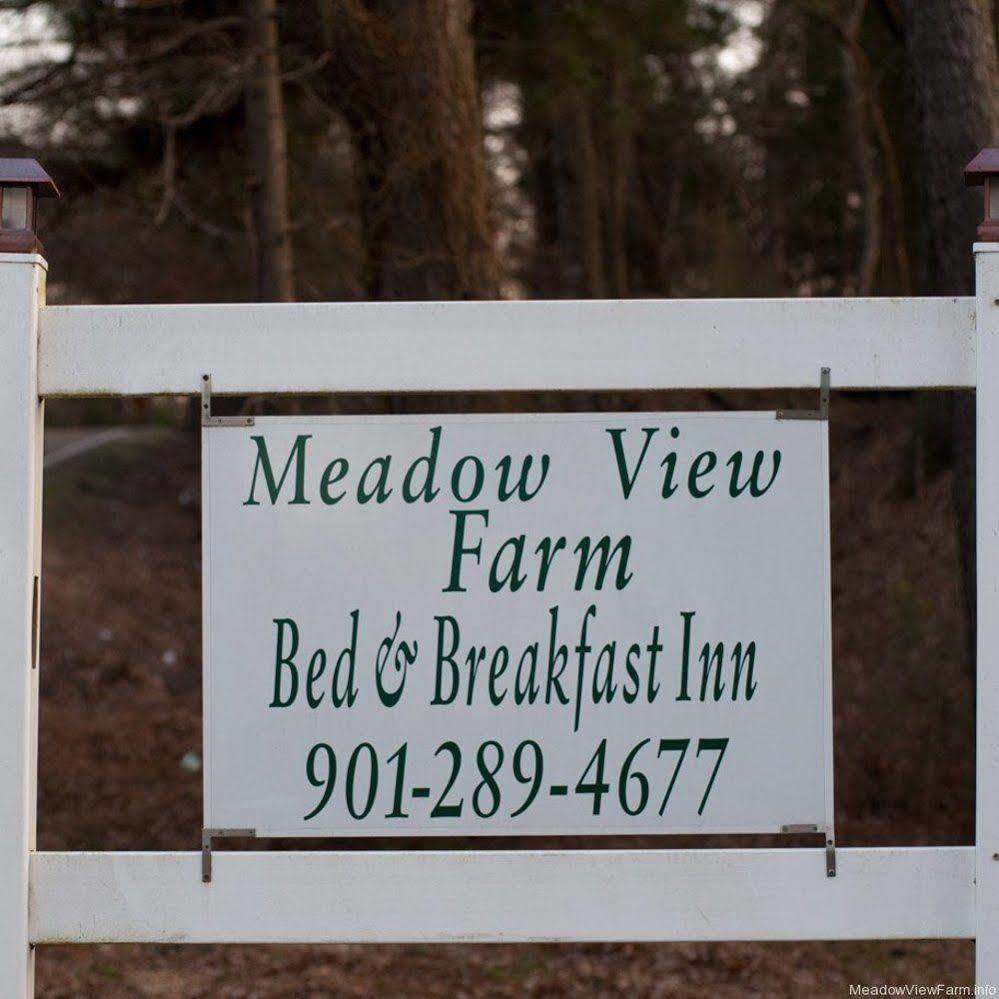 Meadow View Farm Bed & Breakfast Hernando Εξωτερικό φωτογραφία