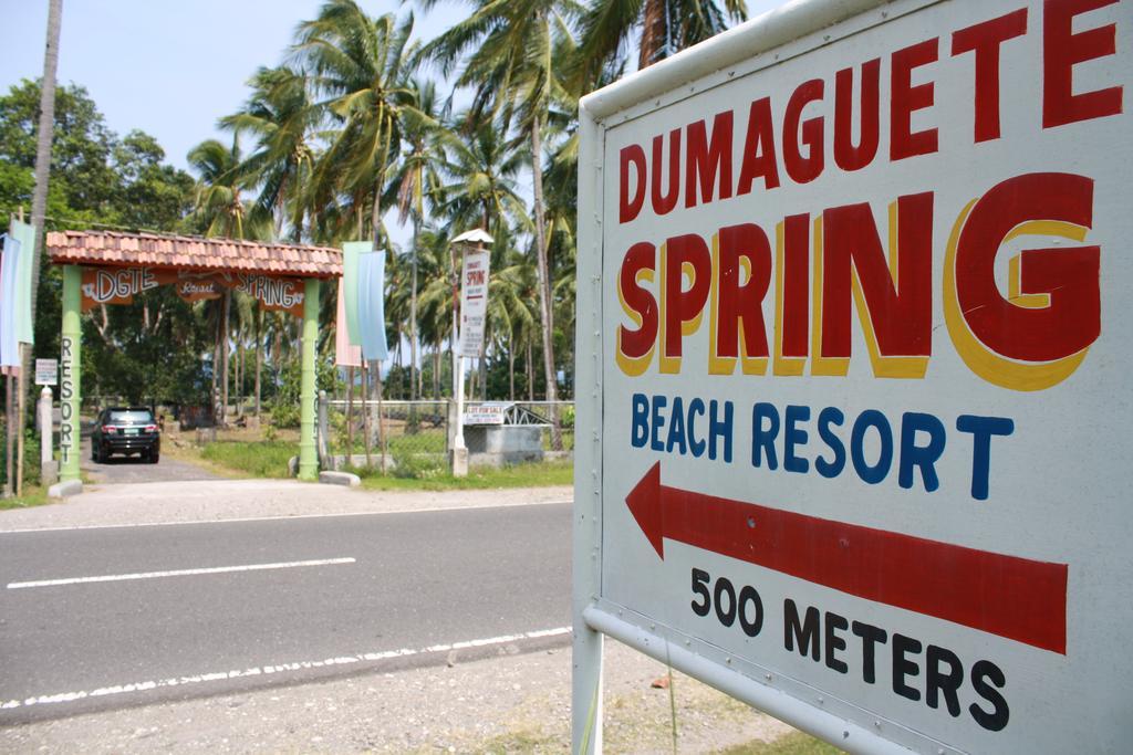 Dumaguete Springs Beach Resort Ντουμαγκέτ Εξωτερικό φωτογραφία