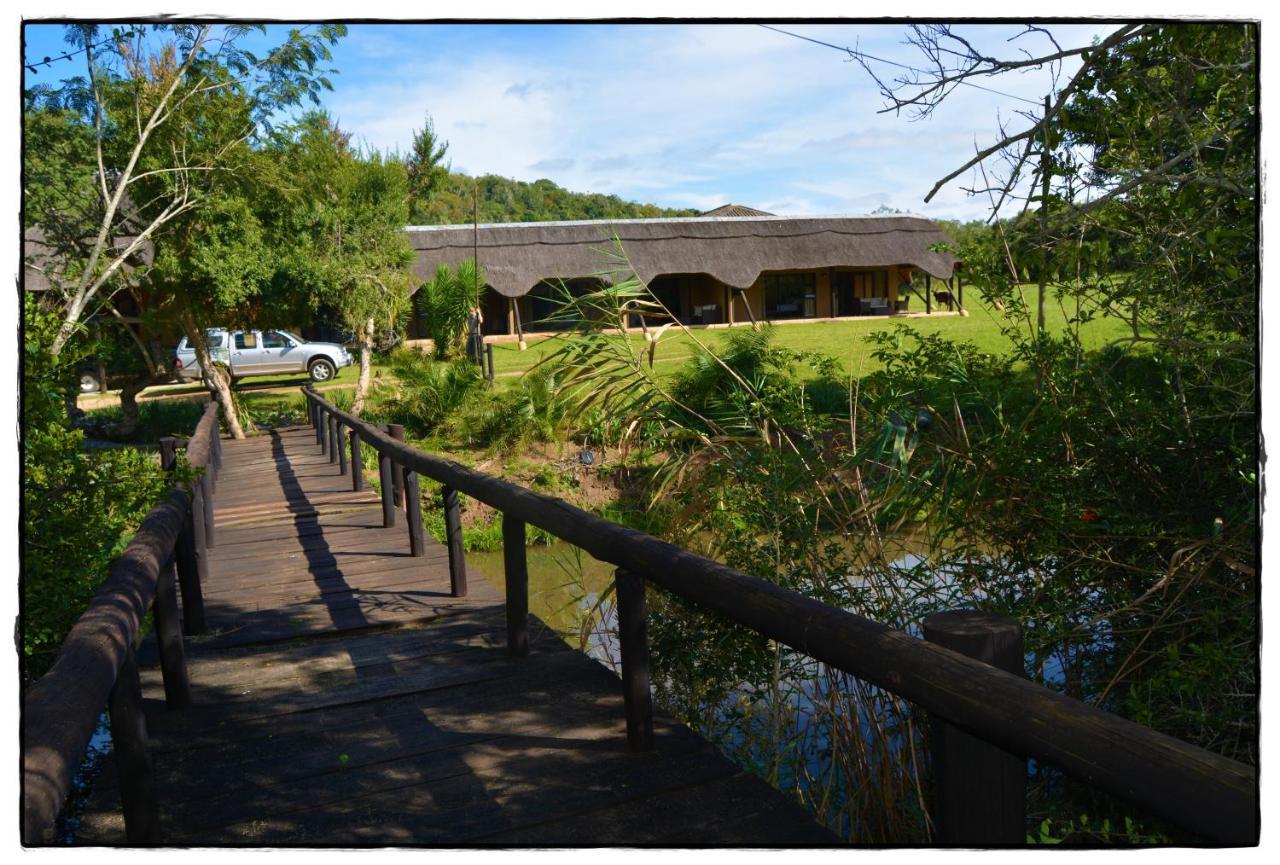 Premier Resort Mpongo Private Game Reserve Macleantown Εξωτερικό φωτογραφία