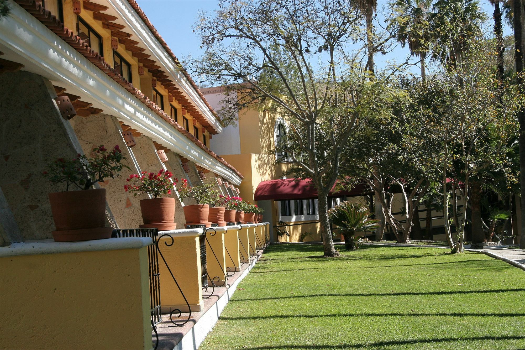 Mision Comanjilla Ξενοδοχείο Εξωτερικό φωτογραφία
