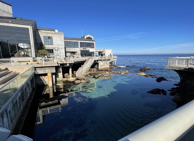 Monterey Bay Aquarium photo