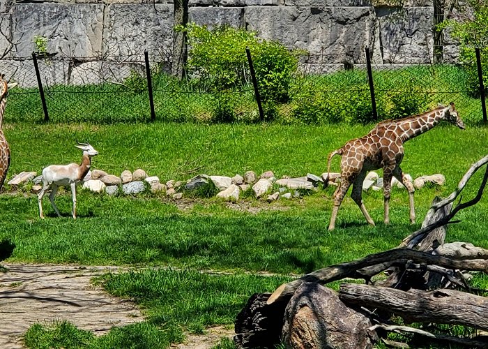 Indianapolis Zoo photo