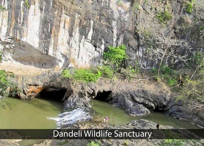 Dandeli Wildlife Sanctuary Dandeli Wildlife Sanctuary, Dandeli - Trahot Tour and Travel photo