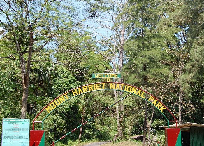 Mount Harriet National Park In and around Port Blair | ShareKhan Times photo