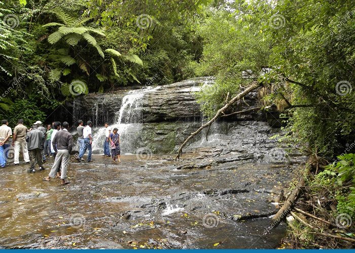 Bear Shola Falls Shola Waterfalls Stock Photos - Free & Royalty-Free Stock Photos ... photo