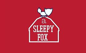 A Sleepy Fox Hostel Νέο Δελχί Exterior photo