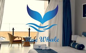 Blue Whale Hotels Γουάλβις Μπέι Exterior photo
