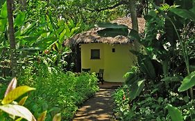 Moivaro Coffee Plantation Lodge Αρούσα Exterior photo