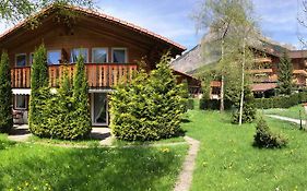 Alpen Chalet Διαμέρισμα Kandersteg Exterior photo