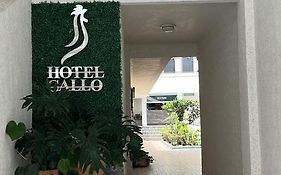Hotel Gallo Γκουανταλαχάρα Exterior photo