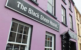 The Black Sheep Hostel Κιλάρνεϊ Exterior photo