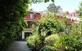 Rokpa Guest House Κατμαντού Exterior photo