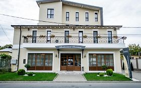 Hotel Ramina Τιμισοάρα Exterior photo