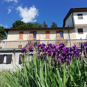 Rifugio Campiglio Ξενοδοχείο Dumenza Exterior photo