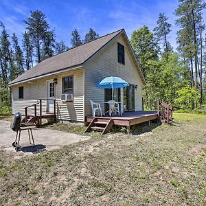 Secluded Irons Cabin With 5-Acre Yard, Deck, Grill! Βίλα Exterior photo