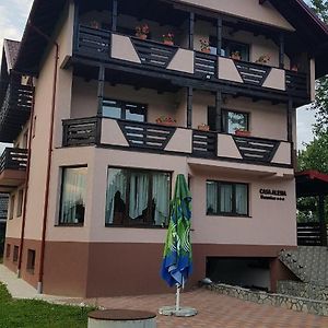 Casa Alesia Bucovina Ξενοδοχείο Gura Humorului Exterior photo