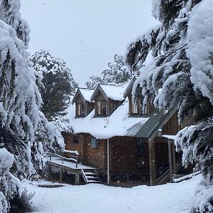 Charlies Cabin - Mt Lyford Βίλα Exterior photo