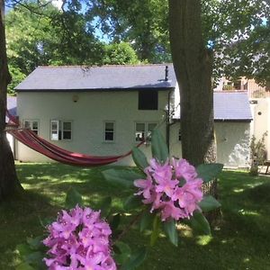 Claremont Coach House Βίλα Frensham Exterior photo