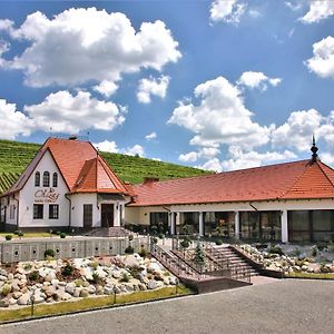 Chizay. Мала Гора Ξενοδοχείο Berehove  Exterior photo