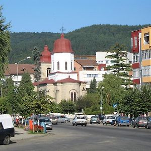 Garsoniera Jad Διαμέρισμα Tîrgu Ocna Exterior photo