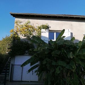 Le Grenier De Gaston Διαμέρισμα Thouars-sur-Garonne Exterior photo