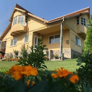 Casa Asined Διαμέρισμα Întorsura Buzăului Exterior photo