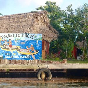 Palmento Grove Garifuna Eco-Cultural & Healing Institute Χόπκινς Exterior photo