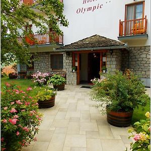 Hotel Olympic Μέτσοβο Exterior photo