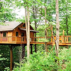Treehouse #5 By Amish Country Lodging Βίλα Millersburg Exterior photo