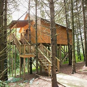 Whispering Pines Treehouse By Amish Country Lodging Βίλα Millersburg Exterior photo