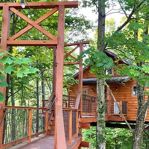 Treehouse #8 By Amish Country Lodging Βίλα Millersburg Exterior photo