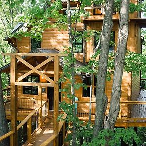 Treehouse #2 By Amish Country Lodging Βίλα Millersburg Exterior photo