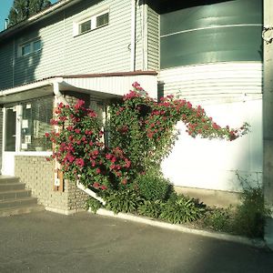 Motel Pid Strihoyu Κρεμεντσούγκ Exterior photo