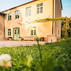 Belakapa Authentic House With Garden And Free Parking Βίλα Ilirska Bistrica Exterior photo