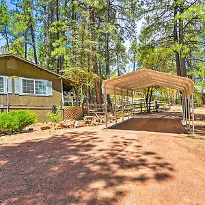Pine Cabin In The Woods With Yard And Grill! Βίλα Exterior photo