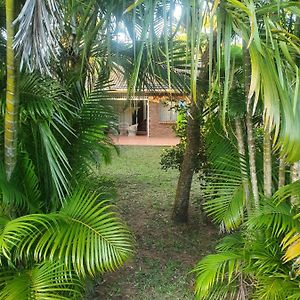 Whispering Palms St Lucia Διαμέρισμα Exterior photo