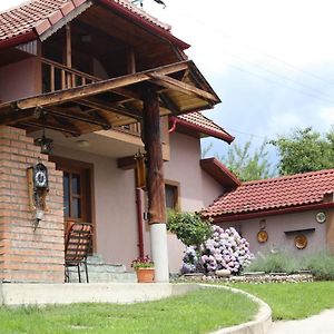 Casa Darius Βίλα Novaci-Străini Exterior photo