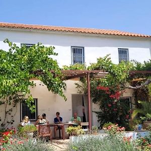 Finca Los Meleros Andalucian Farmhouse Set In Its Own Land With Beautiful Terraces, Garden & Pool. Olvera Exterior photo